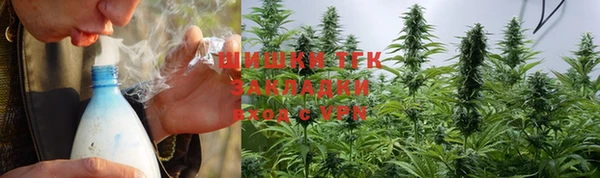 гидра Пестово