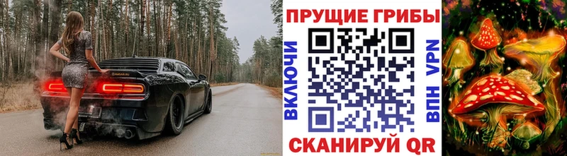 Псилоцибиновые грибы мухоморы  ссылка на мегу маркетплейс  Харовск  купить закладку 